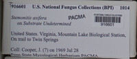 Image Associated With the Occurence